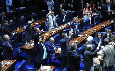 Senado aprova taxação de compras internacionais de até US$ 50